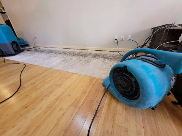 Professional Burst Pipe Water Damage technician working in Deming, WA